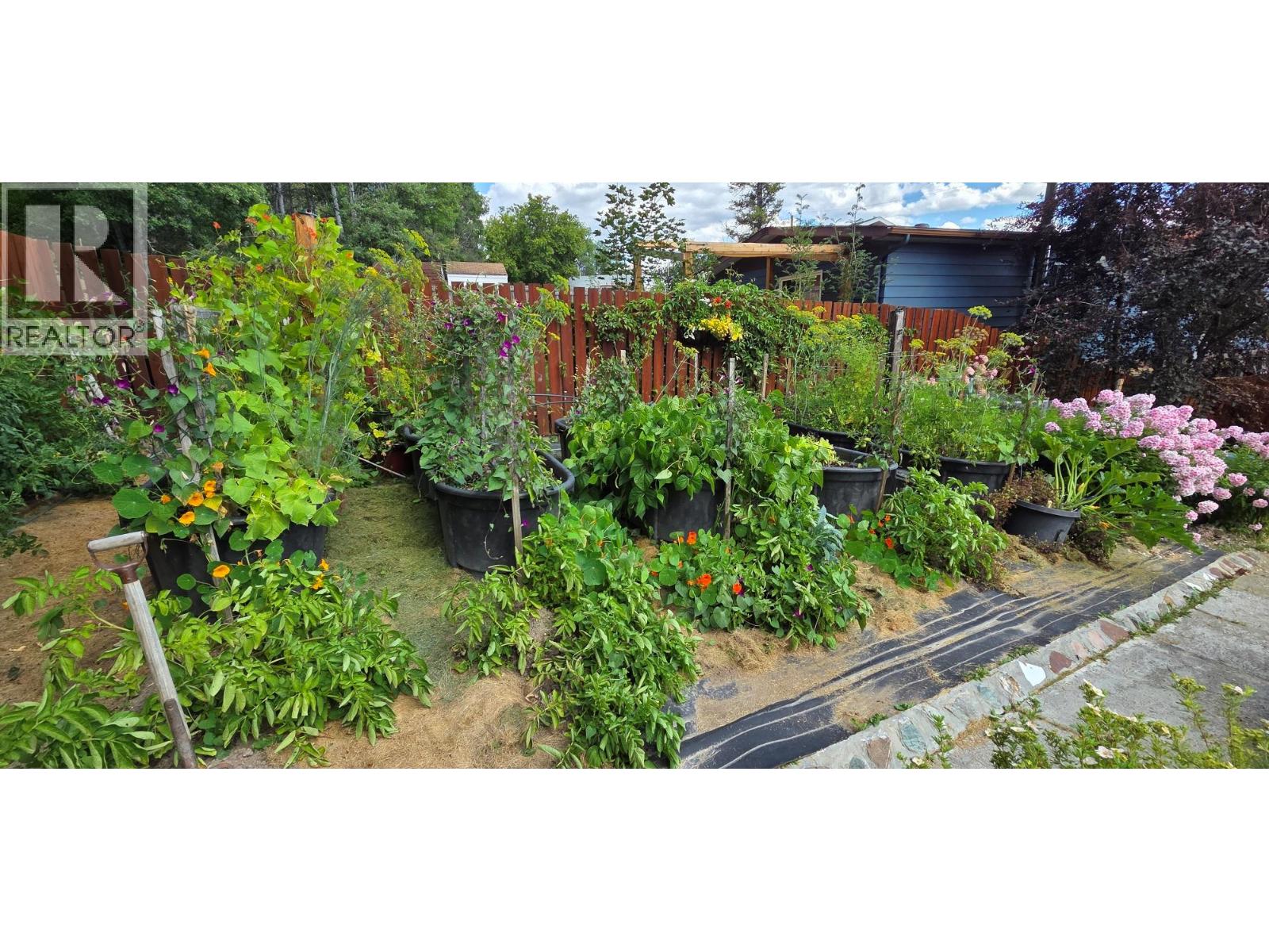 864 300th Street, Kimberley, British Columbia  V1A 3J7 - Photo 19 - 10360050