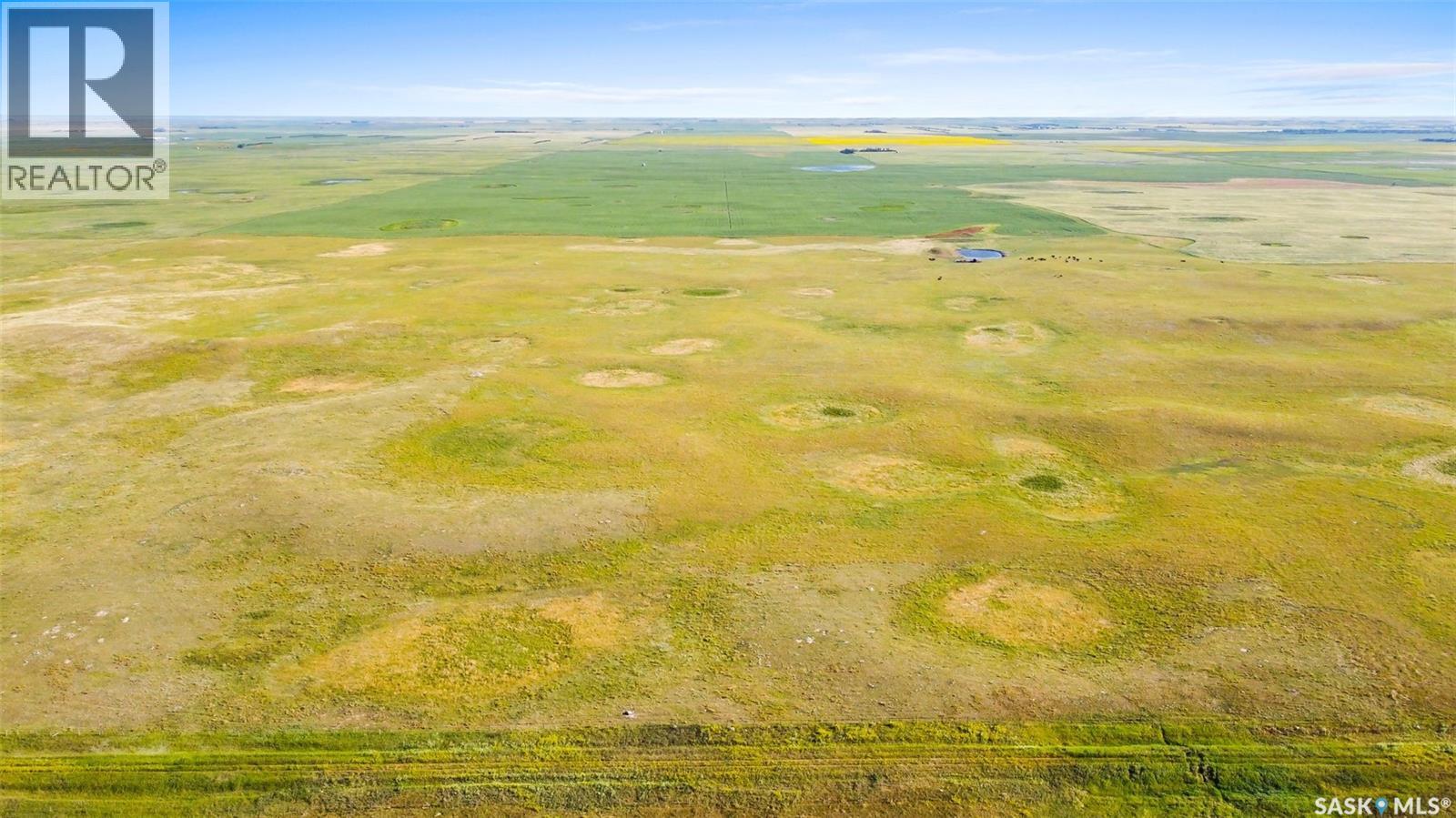 11 Quarters Of Pasture Near Ogema, Sk (Dunn), Key West Rm No. 70, Saskatchewan  S0C 0A1 - Photo 14 - SK016049