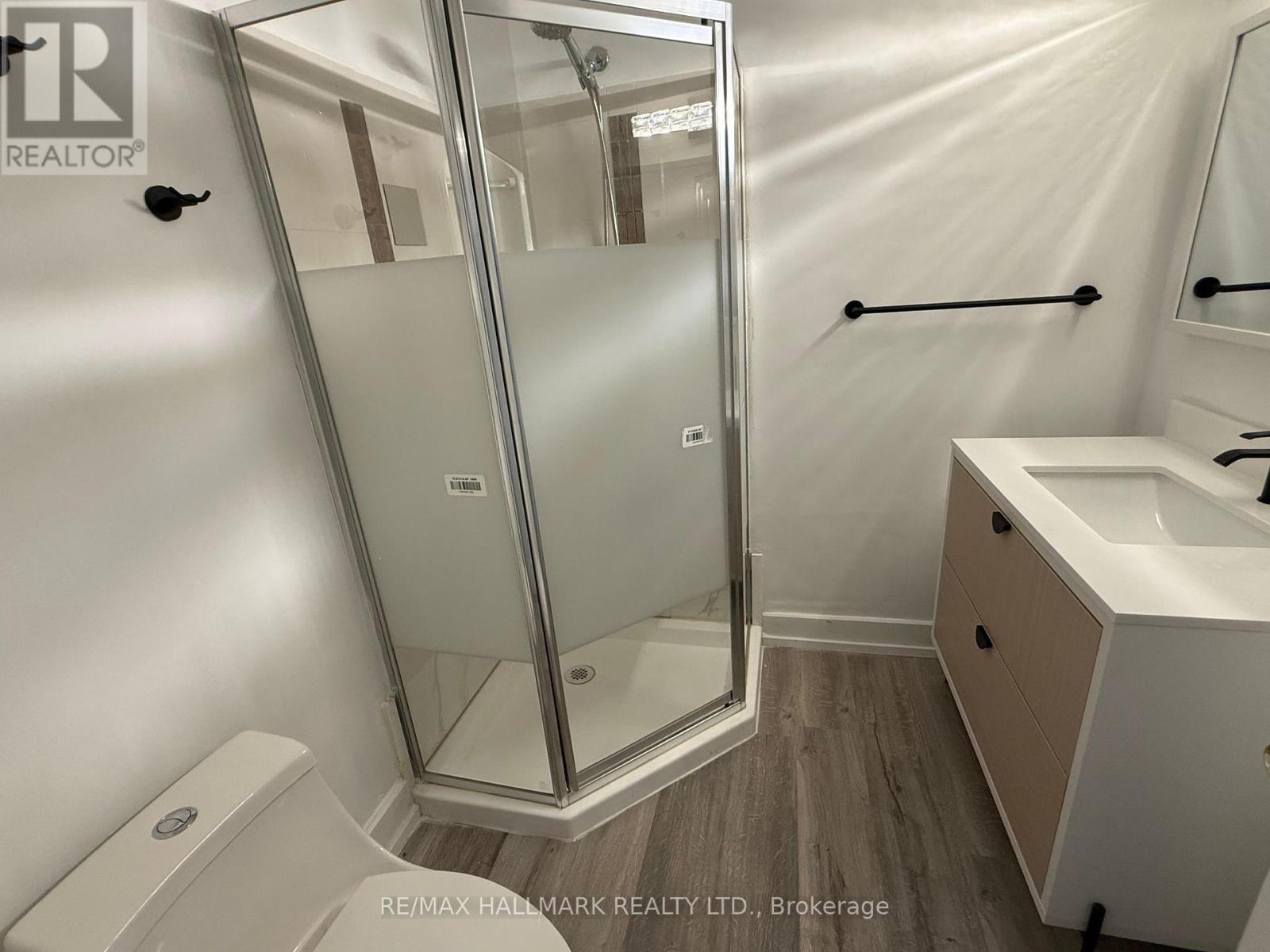 Basement - 60 Lund Street, Richmond Hill, Ontario  L4C 5V7 - Photo 8 - N12305731
