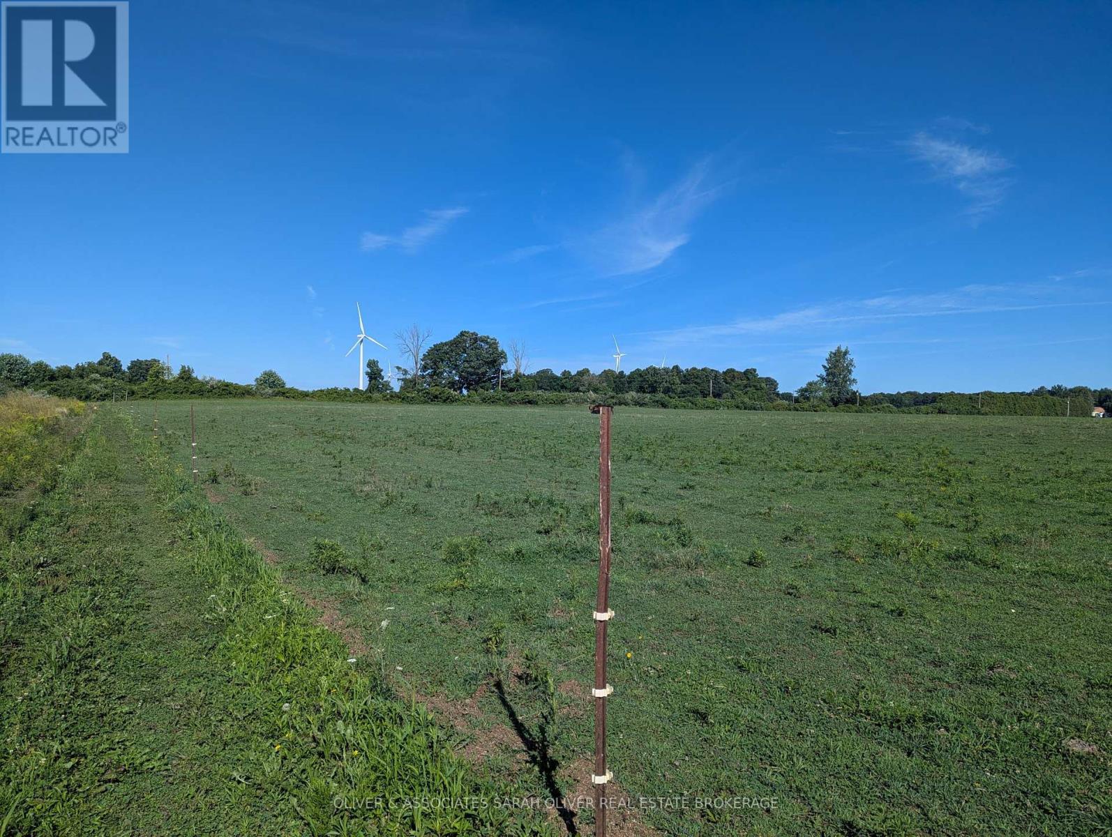 4688 Godby Road, Bayham, Ontario  N0J 1T0 - Photo 6 - X12356786