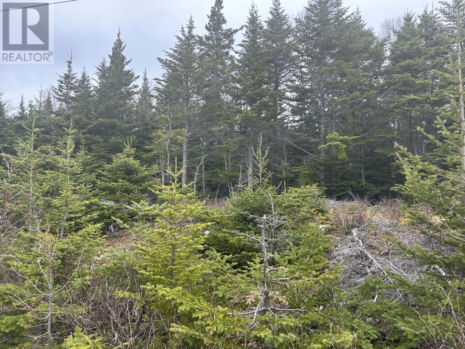 Lot # 04 Quarry Road, Burgoynes Cove, Newfoundland & Labrador  A0C 1G0 - Photo 2 - 1286779