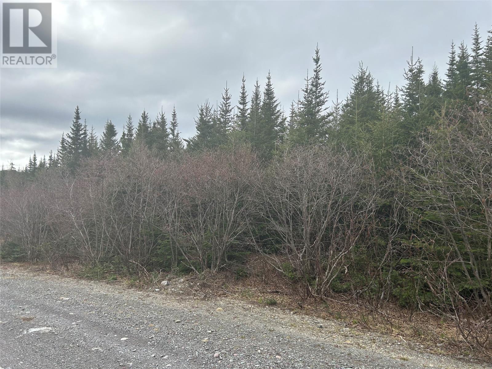 Lot # 03 Quarry Road, Burgoynes Cove, Newfoundland & Labrador  A0C 1G0 - Photo 2 - 1286777