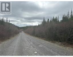Lot # 04 Quarry Road, Burgoynes Cove, Newfoundland & Labrador