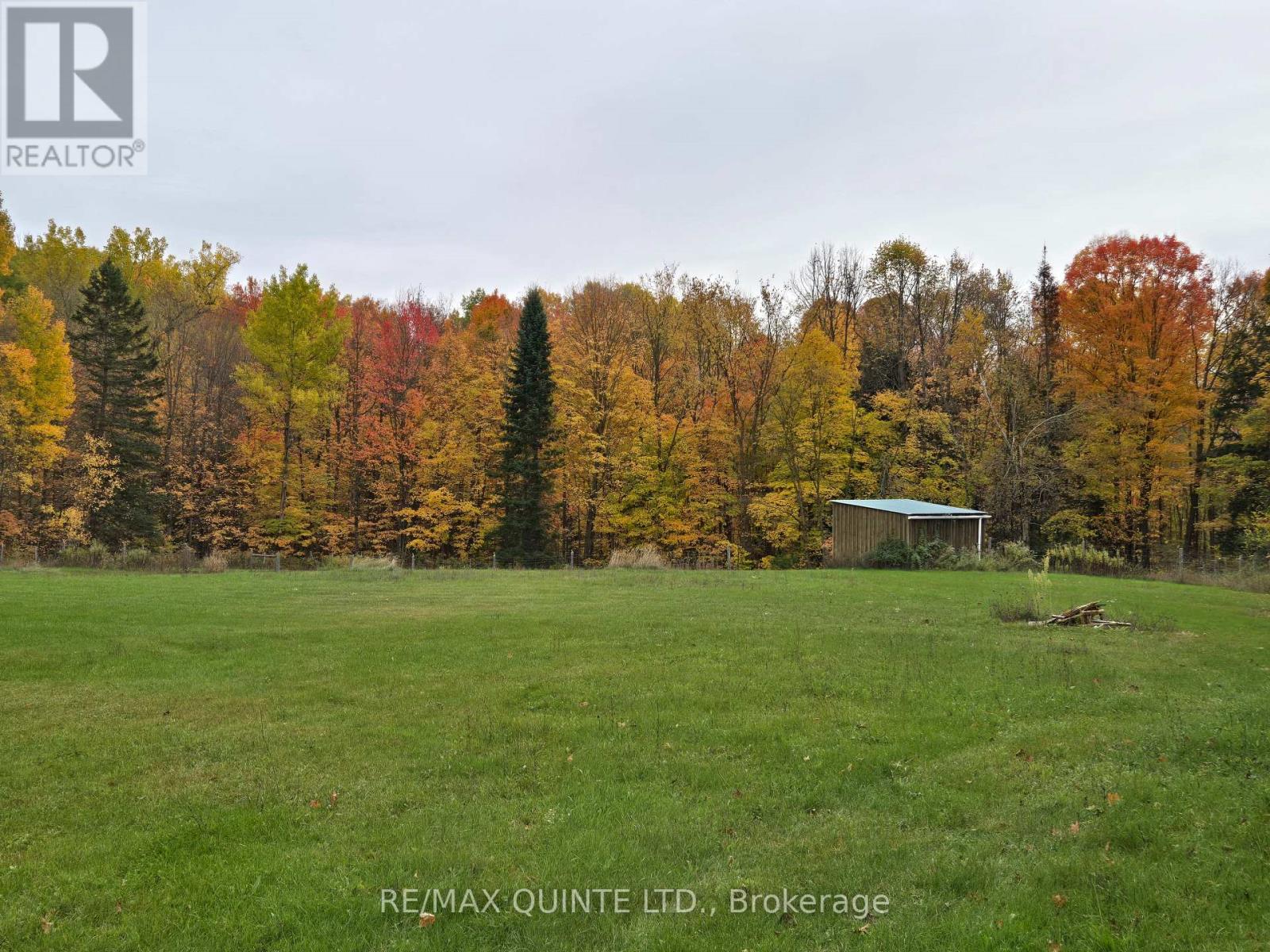 252 Maines Road, Tweed, Ontario  K0K 3H0 - Photo 4 - X12357061