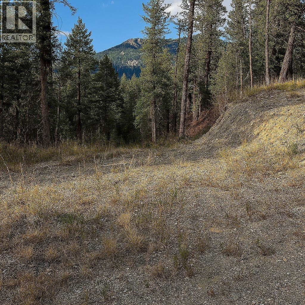 2400 Kootenay Rd No 3 Road Lot# 2, Windermere, British Columbia  V0B 1L1 - Photo 21 - 10339117