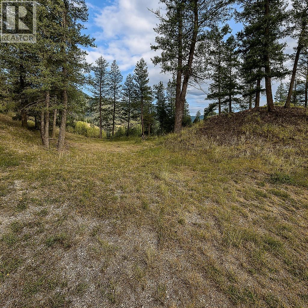 2400 Kootenay Rd No 3 Road Lot# 2, Windermere, British Columbia  V0B 1L1 - Photo 5 - 10339117