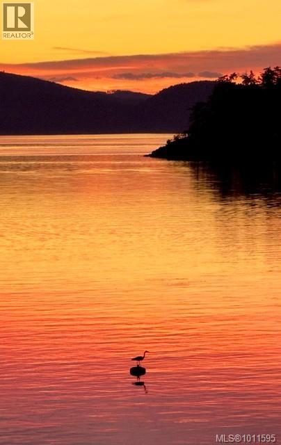 580 Meldram Dr, North Saanich, British Columbia  V8L 5V8 - Photo 56 - 1011595