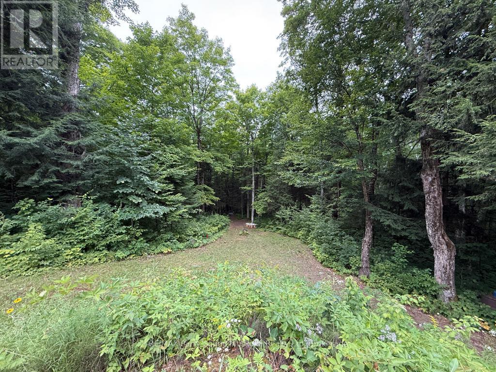 335 Centre Road, Mckellar, Ontario  P2A 0B4 - Photo 14 - X12357294