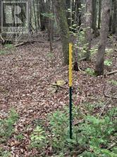 000 Kenyon Dam Rd Road, North Glengarry, Ontario  K0C 1A0 - Photo 2 - X12357276