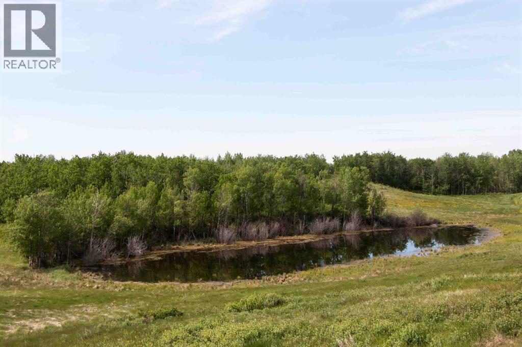 Hi Way 590, Rural Red Deer County, Alberta  T0M 0Y0 - Photo 29 - A2243447