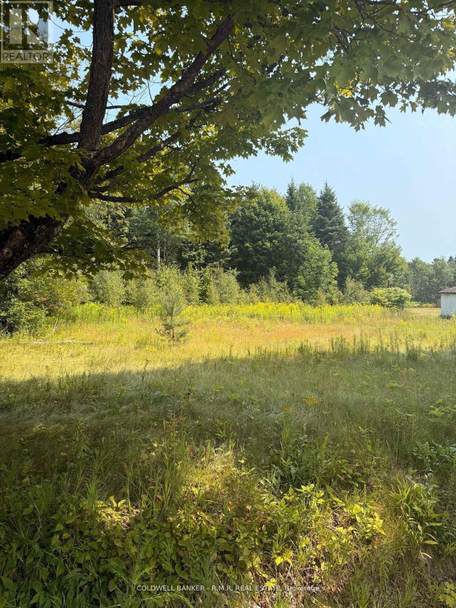 3995 Boulter Road, Hastings Highlands, Ontario  K0L 1C0 - Photo 3 - X12357519