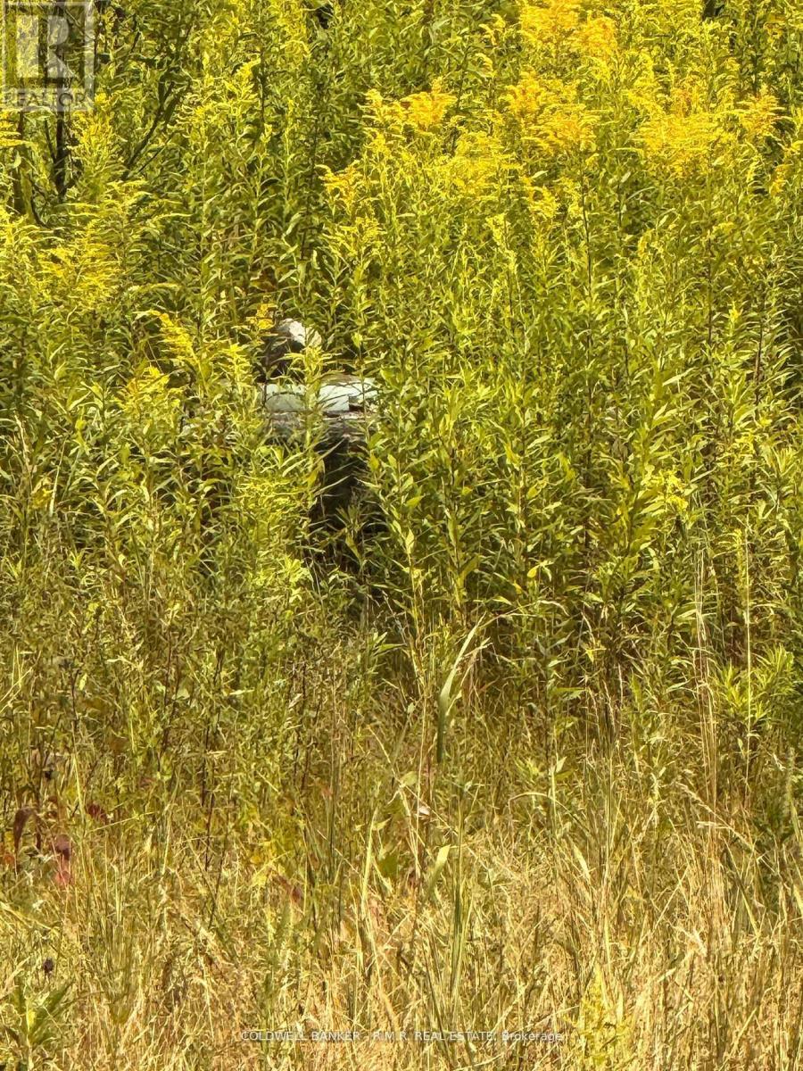 3995 Boulter Road, Hastings Highlands, Ontario  K0L 1C0 - Photo 4 - X12357519