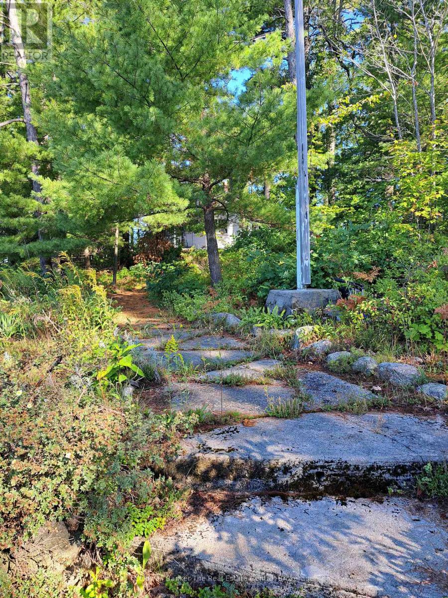 1 Island 3lm Island, Gravenhurst, Ontario  P1P 1R2 - Photo 28 - X12346912