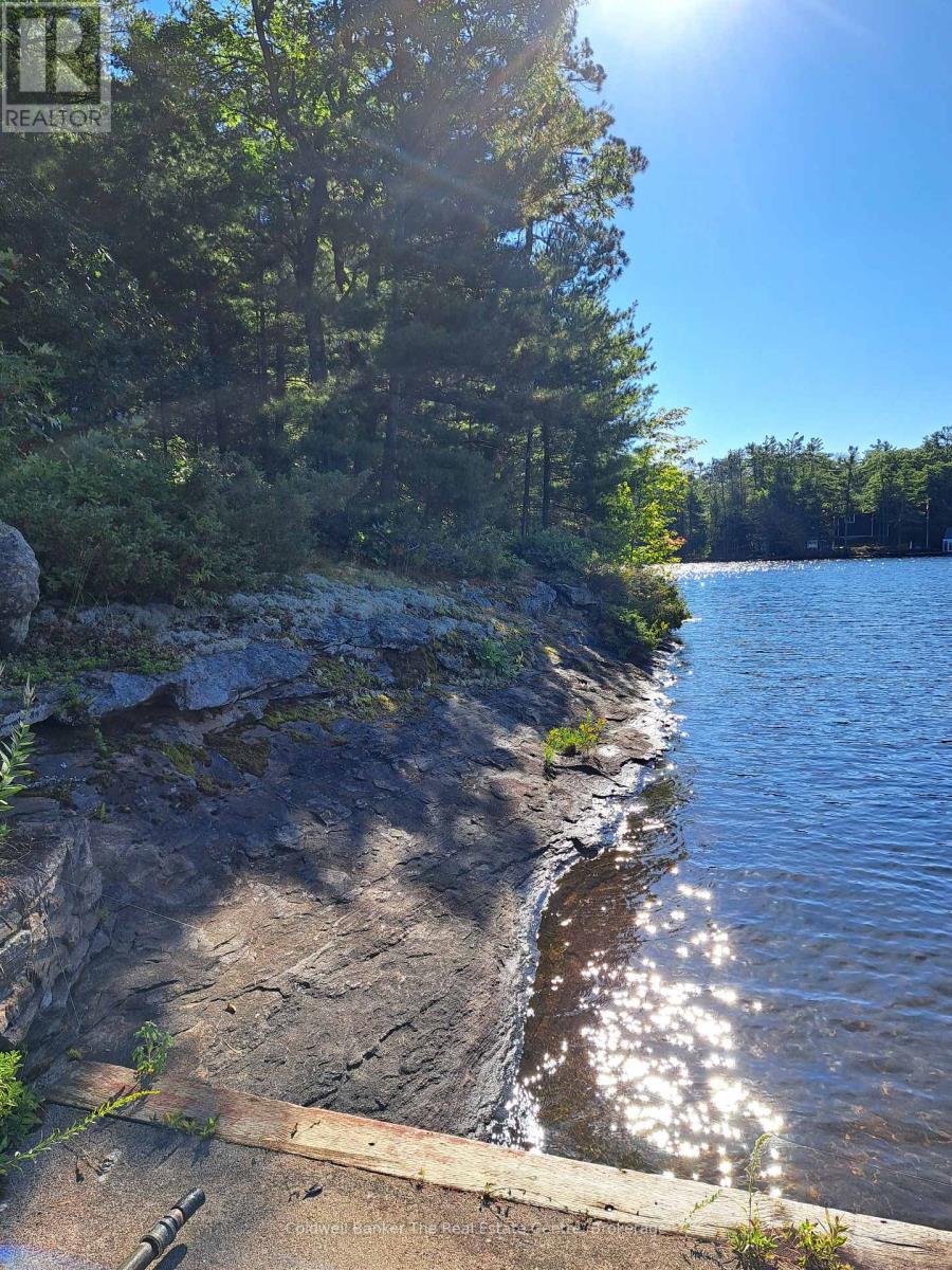 1 Island 3lm Island, Gravenhurst, Ontario  P1P 1R2 - Photo 29 - X12346912