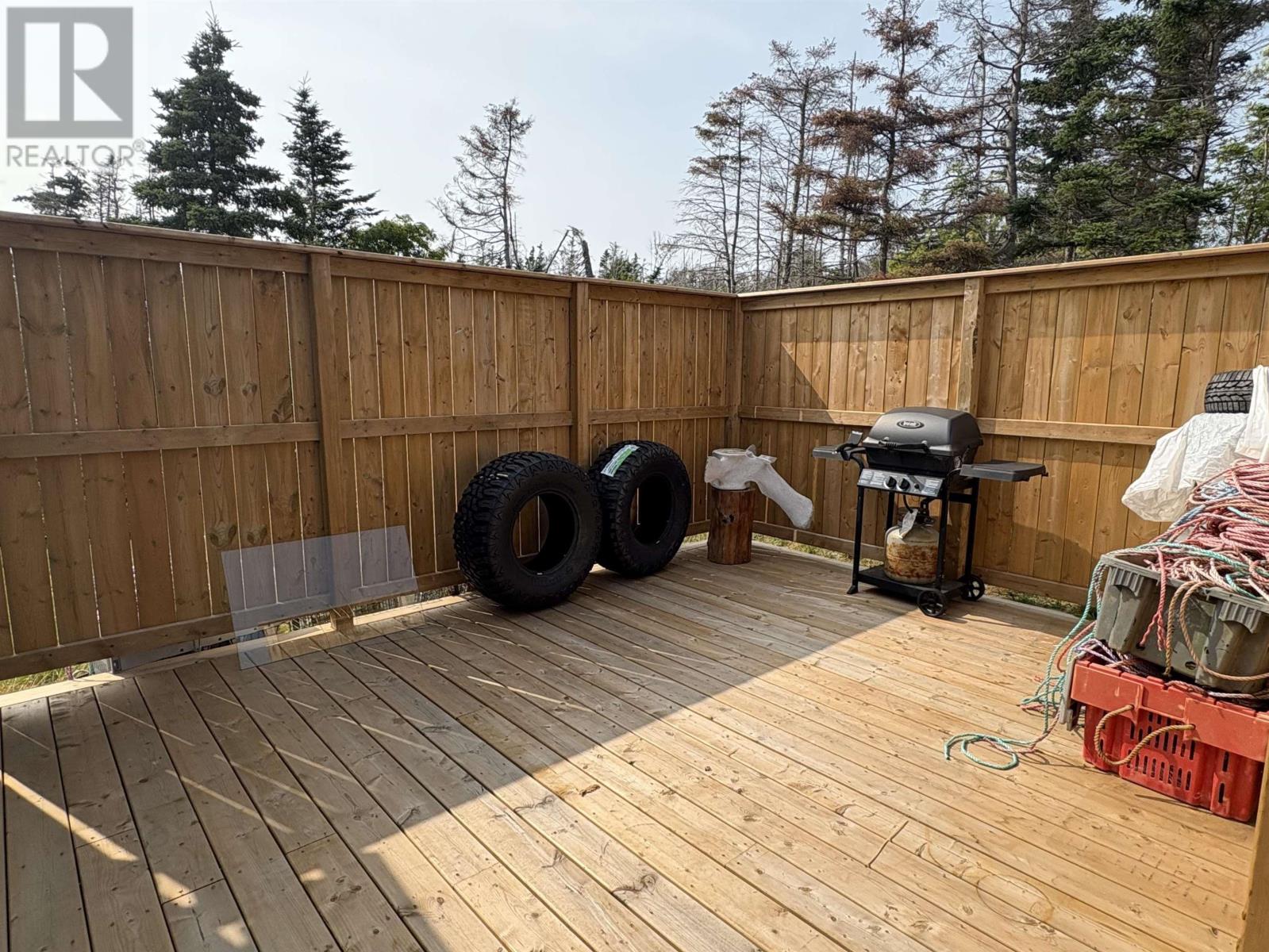 21 Marconi Street, Louisbourg, Nova Scotia  B1C 1K2 - Photo 29 - 202520808