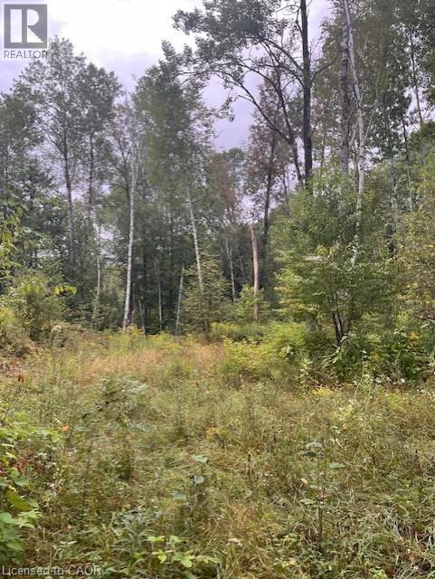 4333 Loop Road, Harcourt, Ontario  K0L 2A0 - Photo 2 - 40762368