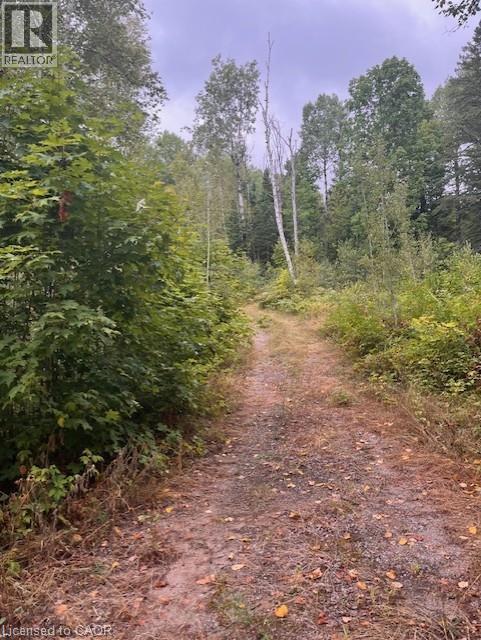 4333 Loop Road, Harcourt, Ontario  K0L 2A0 - Photo 3 - 40762368