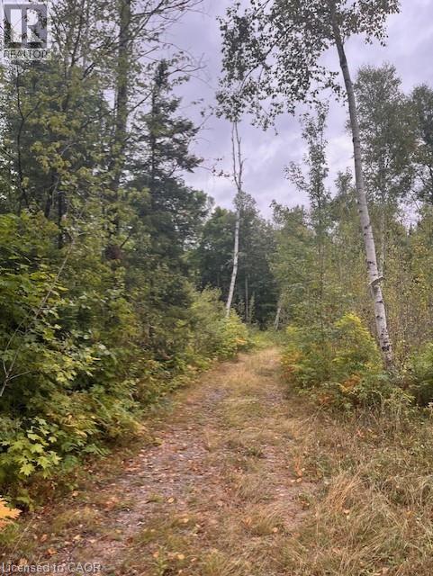 4333 Loop Road, Harcourt, Ontario  K0L 2A0 - Photo 7 - 40762368