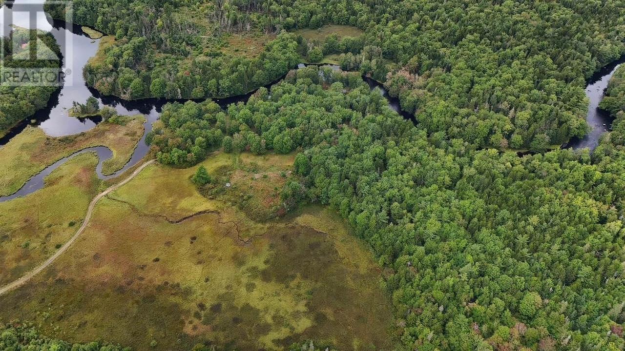 Minor Road, East Kemptville, Nova Scotia  B5A 5P5 - Photo 3 - 202519842