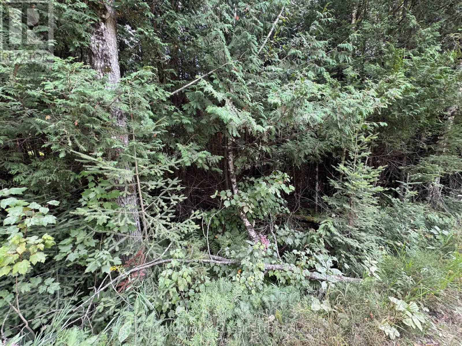 0 SCHIMMENS ROAD, Brudenell, Ontario