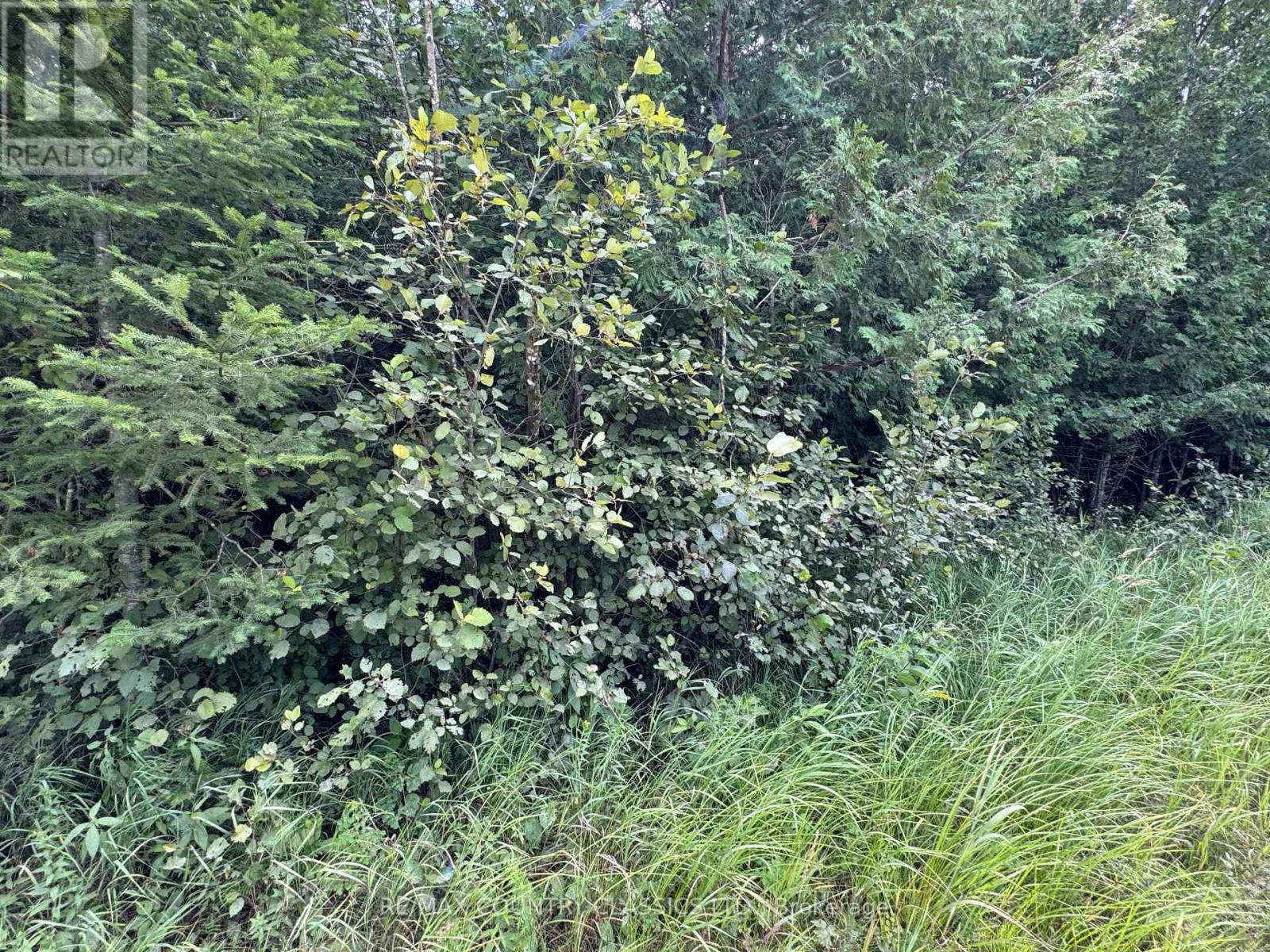 00 SCHIMMENS ROAD, Brudenell, Ontario