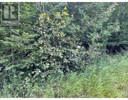 00 SCHIMMENS ROAD, Brudenell, Ontario