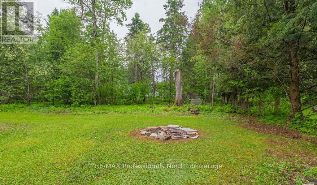 7 Stouffer Street, Minden Hills, Ontario  K0M 2K0 - Photo 8 - X12357714