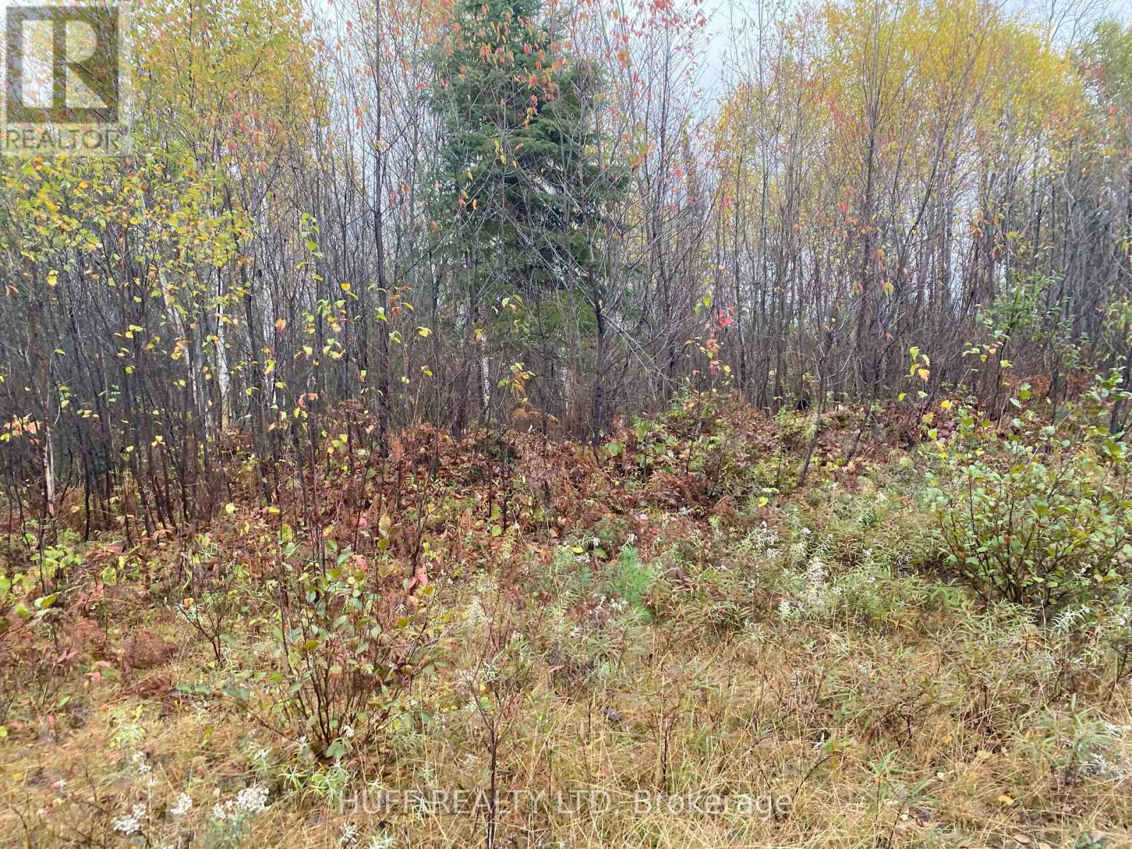 Lt 1 Con 6 54r-6390 Lot 1 Con 6 Marter Twp Road, Englehart (Central Timiskaming), Ontario  P0J 1H0 - Photo 6 - T12357731