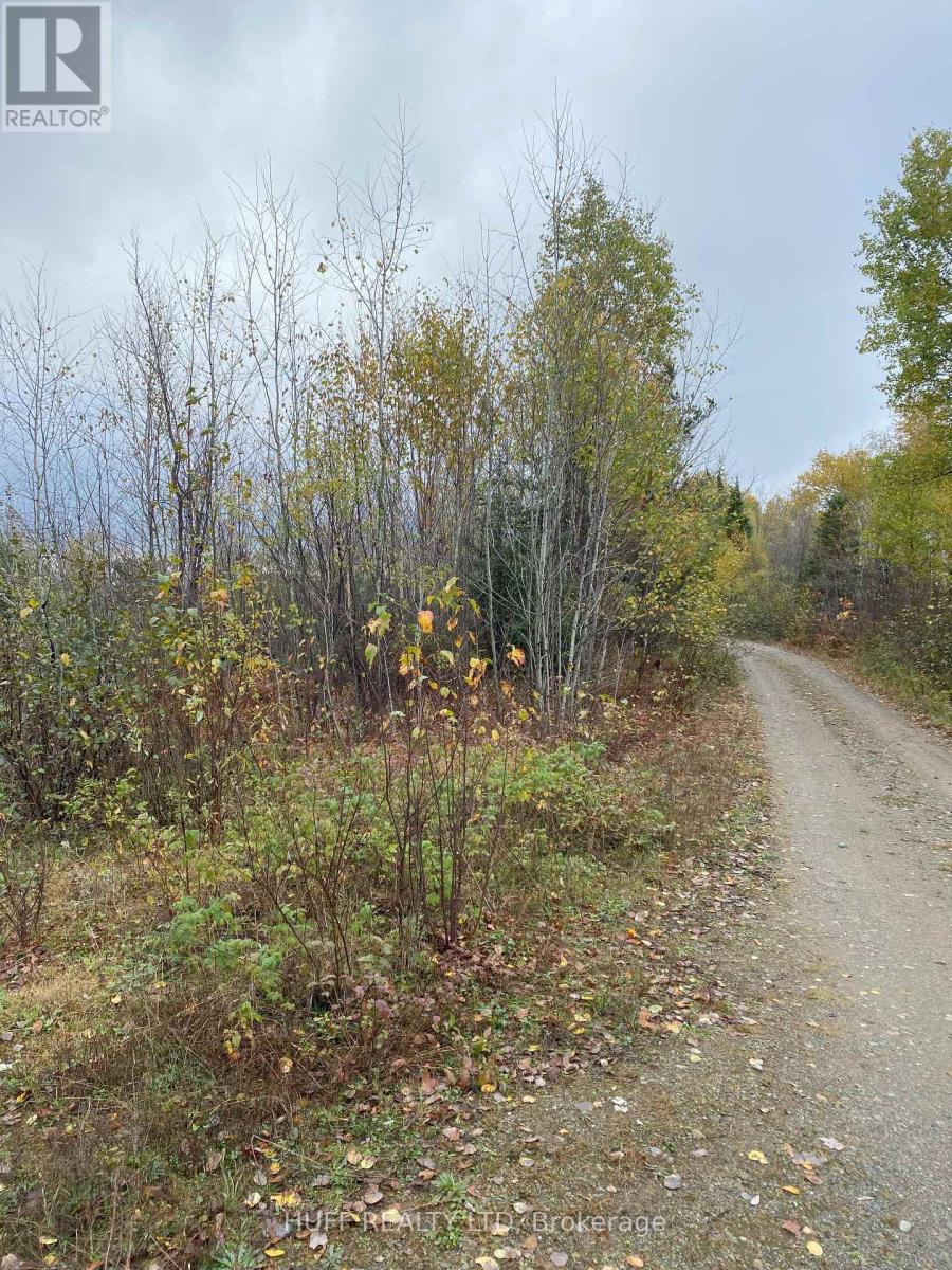 Lt 1 Con 6 54r-6390 Lot 1 Con 6 Marter Twp Road, Englehart (Central Timiskaming), Ontario  P0J 1H0 - Photo 8 - T12357731