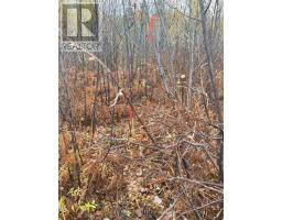 LT 1 CON 6 54R-6390 LOT 1 CON 6 MARTER TWP ROAD, Englehart, Ontario