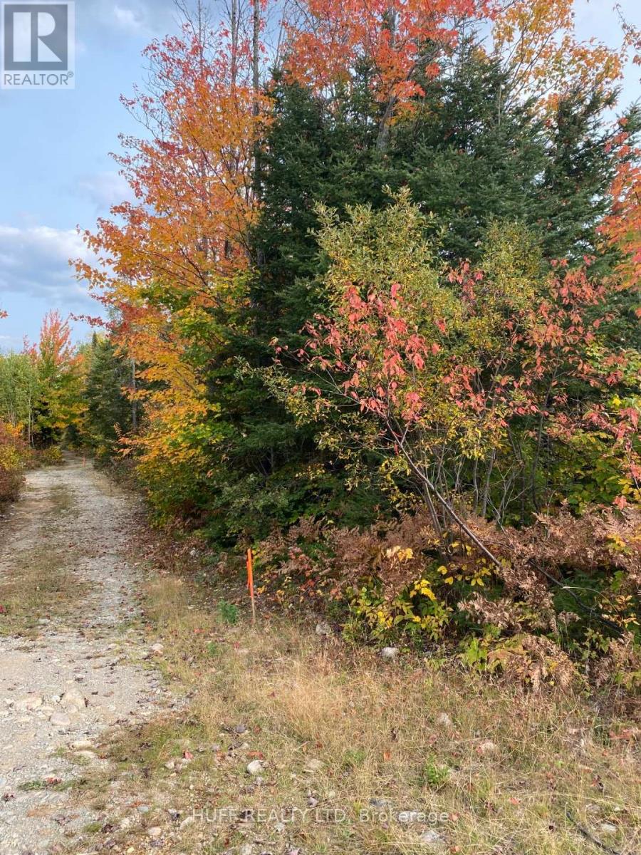 L1C1 54R-6371 CATHARINE ROAD, Englehart, Ontario