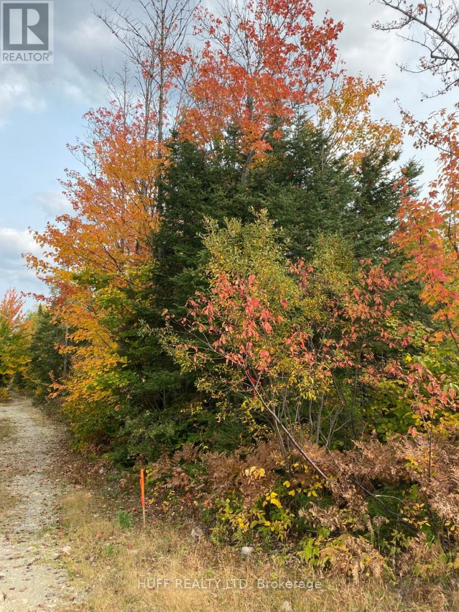 L1c1 54r-6371 Catharine Road, Englehart, Ontario  P0J 1H0 - Photo 2 - T12357754