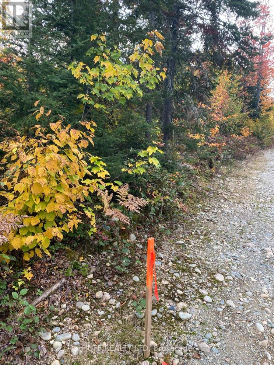 L1c1 54r-6371 Catharine Road, Englehart, Ontario  P0J 1H0 - Photo 3 - T12357754