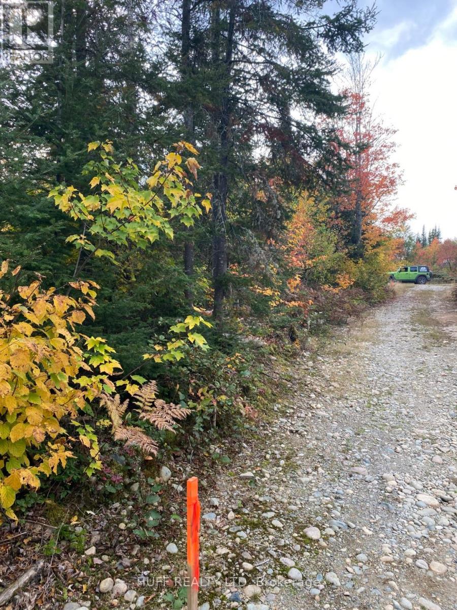 L1c1 54r-6371 Catharine Road, Englehart, Ontario  P0J 1H0 - Photo 4 - T12357754