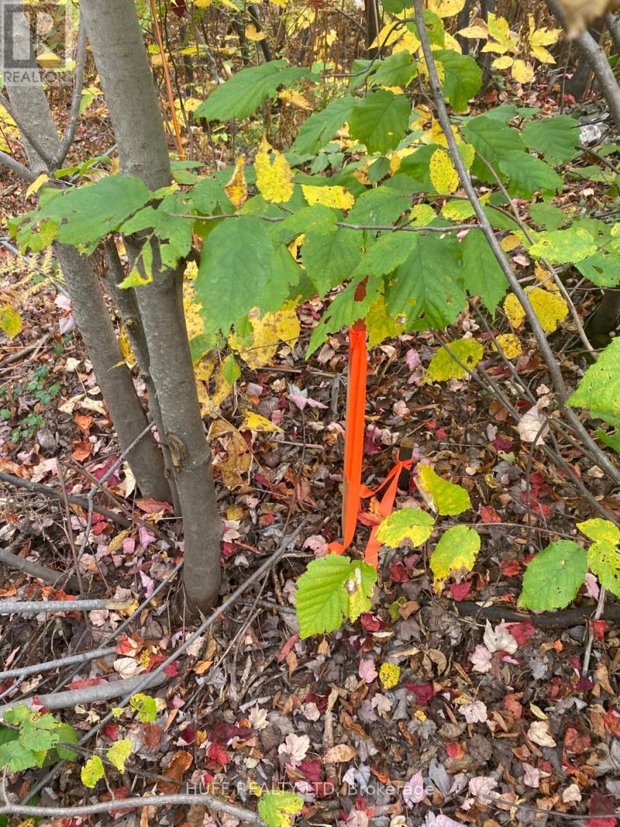 L1c1 54r-6371 Catharine Road, Englehart, Ontario  P0J 1H0 - Photo 5 - T12357754