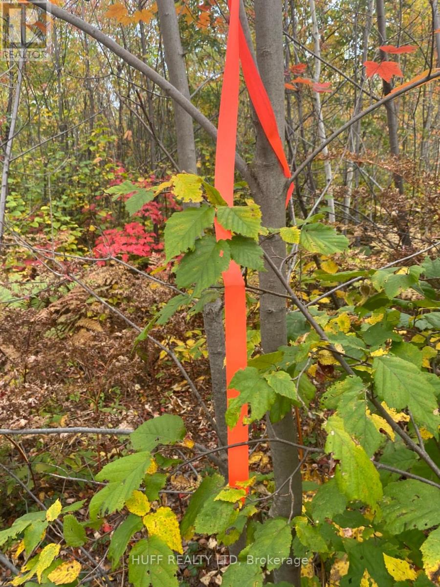 L1c1 54r-6371 Catharine Road, Englehart, Ontario  P0J 1H0 - Photo 6 - T12357754