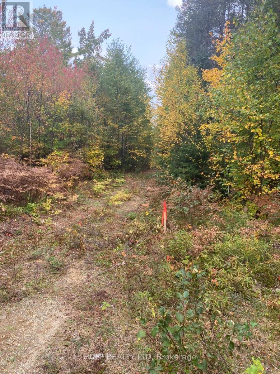 L1c1 54r-6371 Catharine Road, Englehart, Ontario  P0J 1H0 - Photo 7 - T12357754