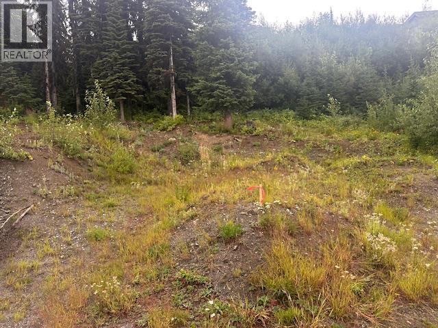 9890 Cathedral Drive, Vernon, British Columbia  V1B 3M1 - Photo 2 - 10359608