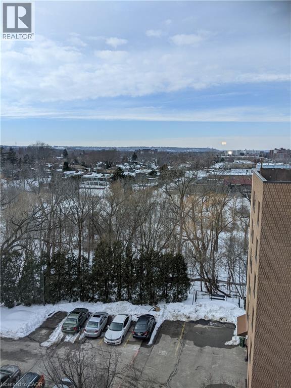 99 Donn Avenue Unit# 702, Stoney Creek, Ontario  L8G 5B2 - Photo 19 - 40762332