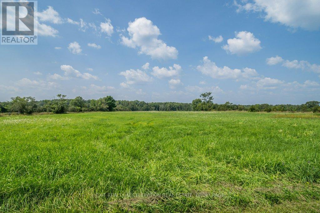 595 Craigen Road, Stone Mills, Ontario  K0K 2S0 - Photo 38 - X12357843