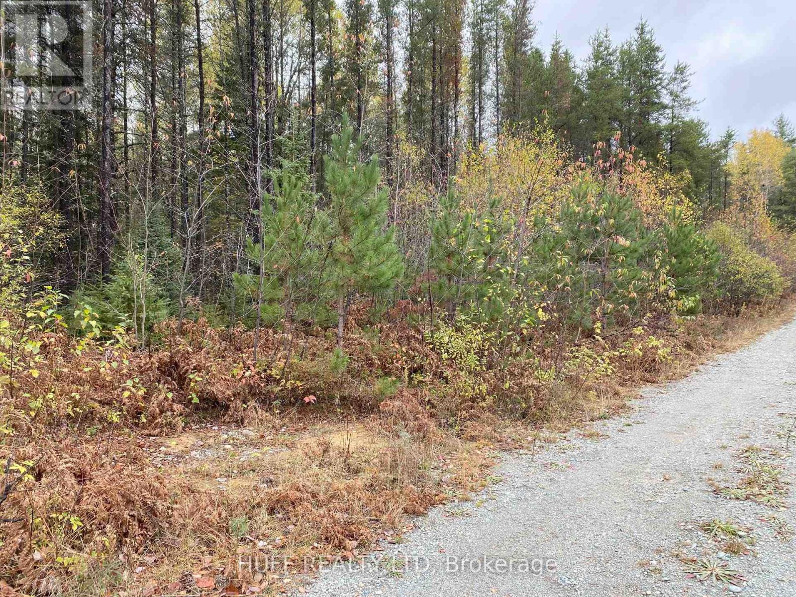 Lot 1 Con 5 Marter 54r-6396 Road, Englehart, Ontario  P0J 1H0 - Photo 2 - T12357785