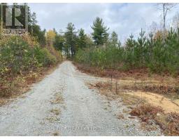 Lot 1 Con 5 Marter 54r-6396 Road, Englehart (Central Timiskaming), Ca
