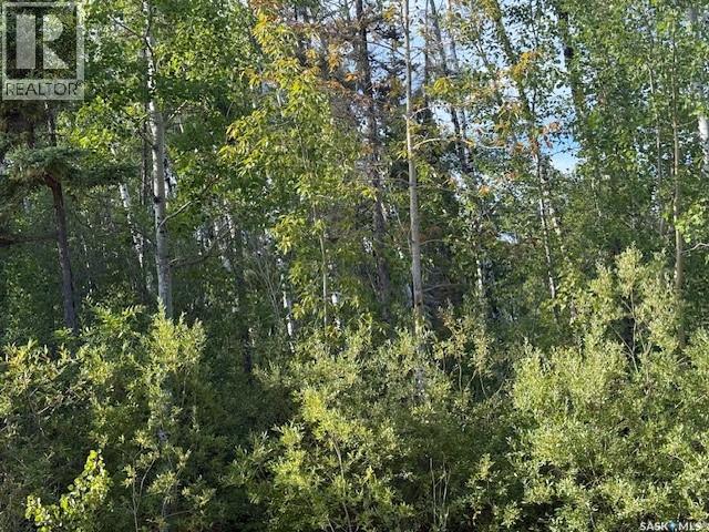 2012 Laronge AVENUE, La Ronge, Saskatchewan