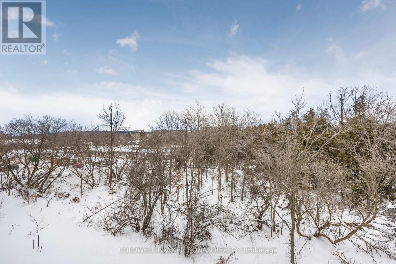 316 - 121 Mary Street, Clearview (Creemore), Ontario  L0M 1G0 - Photo 29 - S12357828