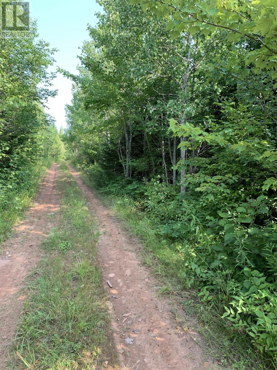 Lot 4a Hunter Road, Wentworth Valley, Nova Scotia  B0M 1Z0 - Photo 12 - 202521315