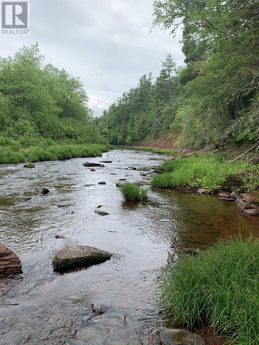 Lot 4a Hunter Road, Wentworth Valley, Nova Scotia  B0M 1Z0 - Photo 3 - 202521315
