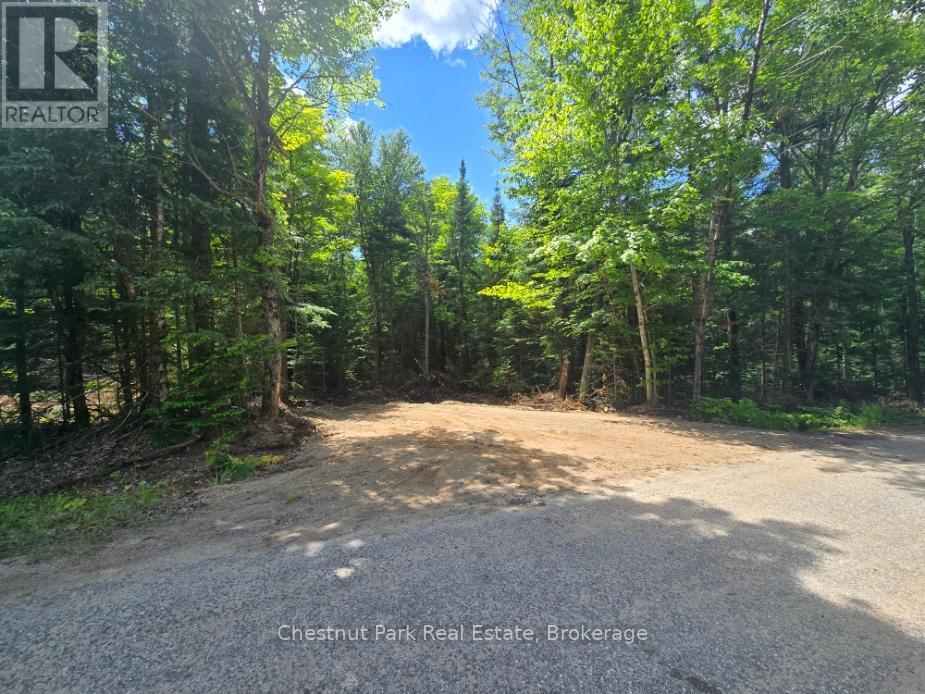 1397 Echo Ridge Road, Kearney, Ontario  P0A 1M0 - Photo 2 - X12156747