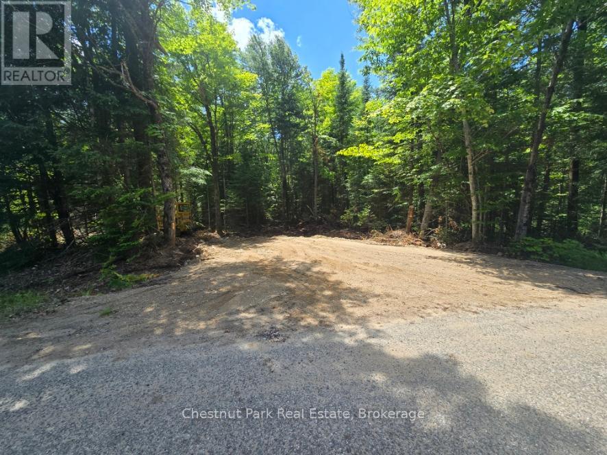 1397 Echo Ridge Road, Kearney, Ontario  P0A 1M0 - Photo 3 - X12156747