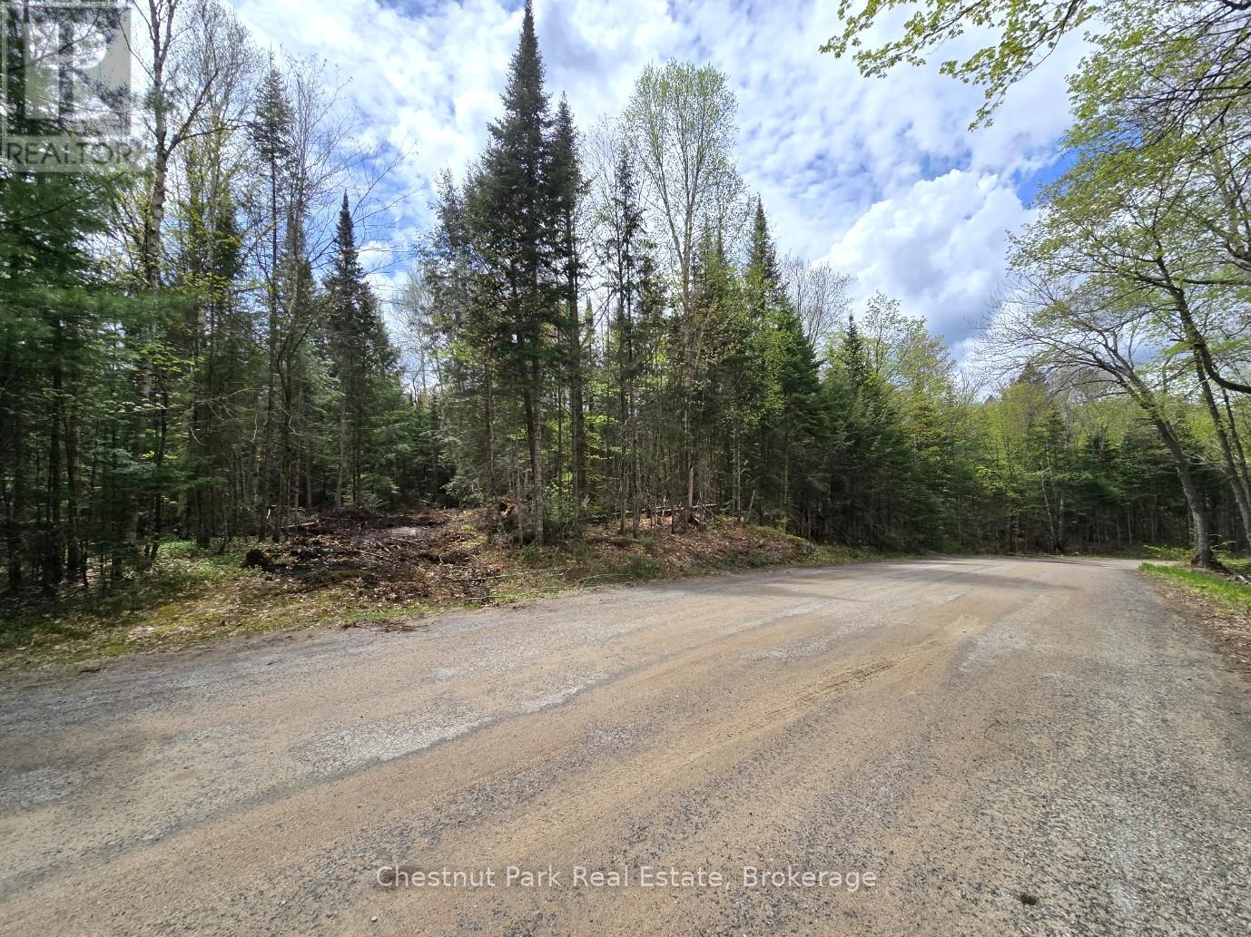 1363 Echo Ridge Road, Kearney, Ontario  P0A 1M0 - Photo 4 - X12156748