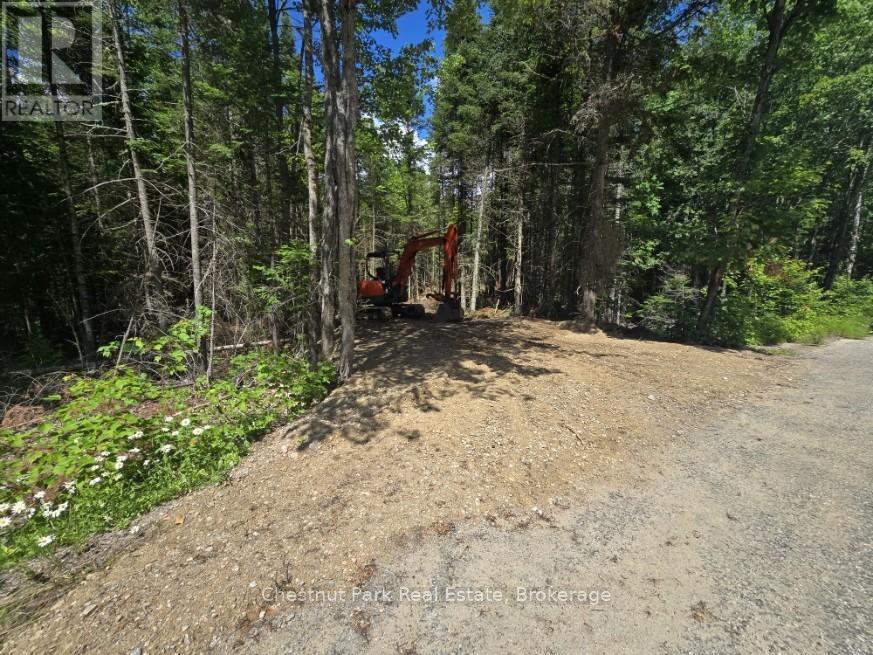 1366 Echo Ridge Road, Kearney, Ontario  P0A 1M0 - Photo 2 - X12156749